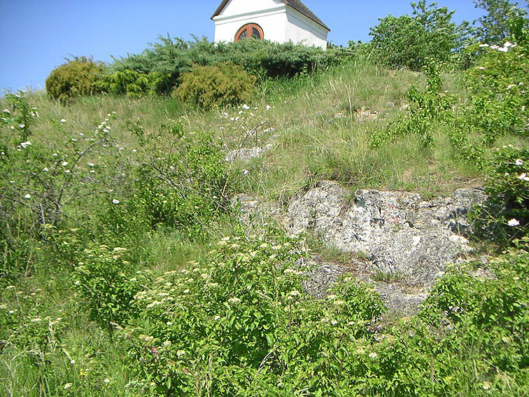 Rochuskapelle Stefan Weiss