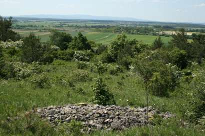 Halbtrockenrasen