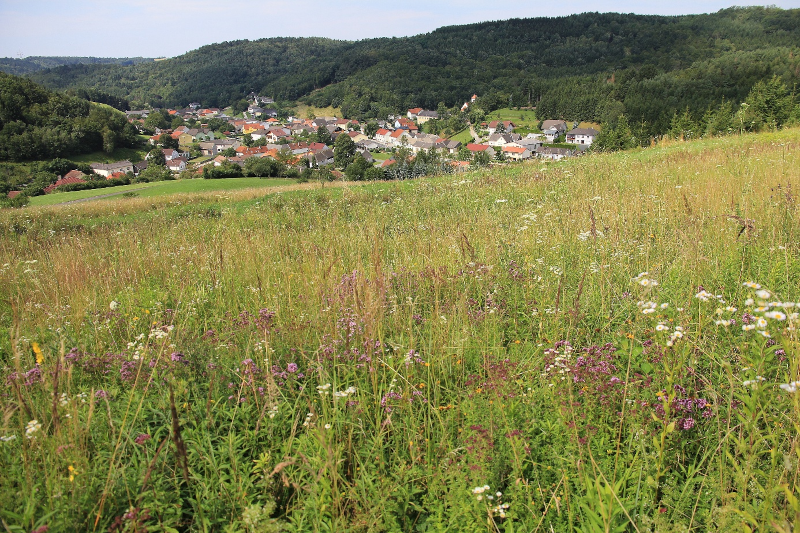 Foto: Helmut Höttinger